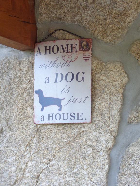 Bernardes House Konuk evi Castelo de Paiva Dış mekan fotoğraf