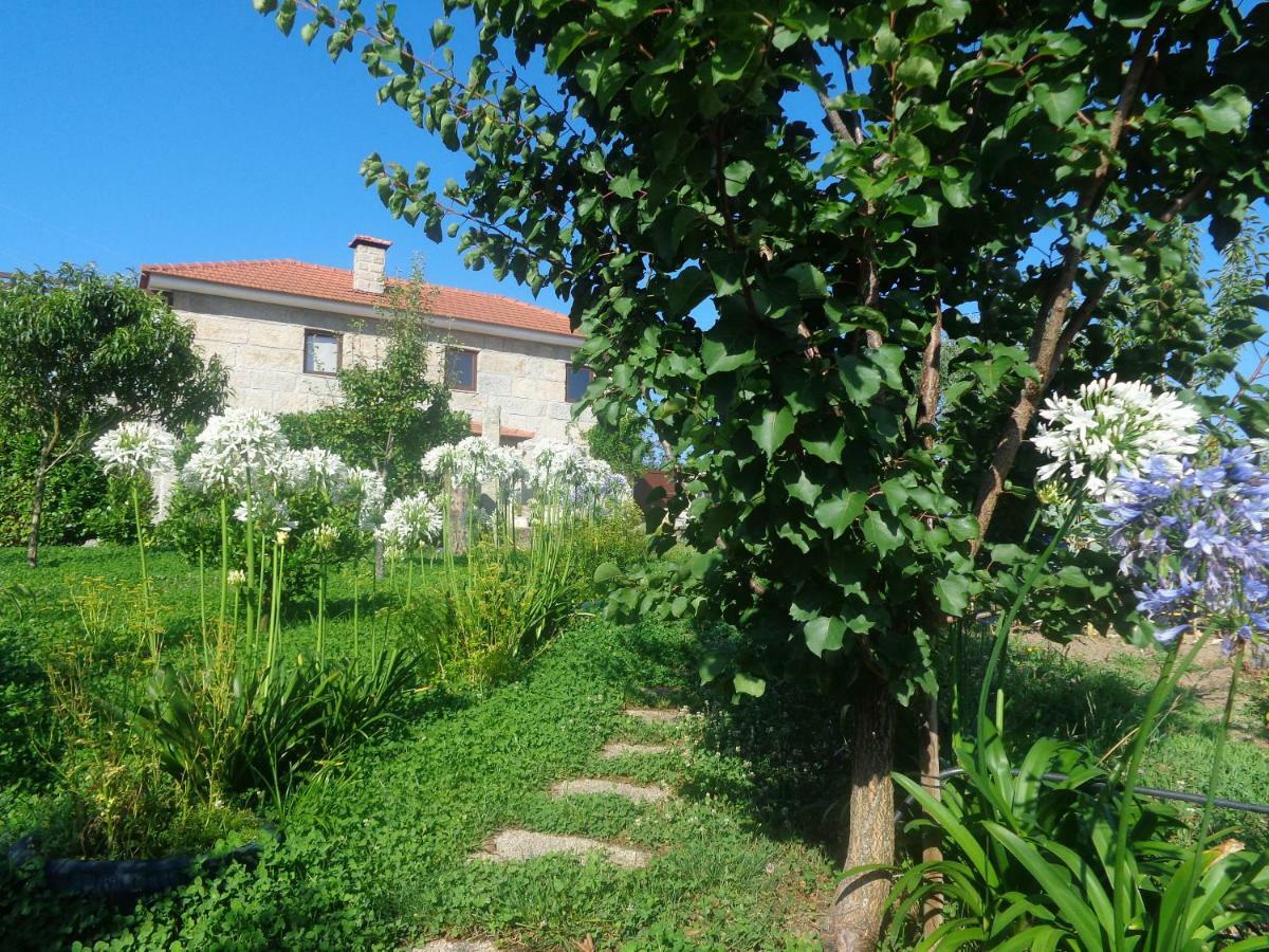 Bernardes House Konuk evi Castelo de Paiva Dış mekan fotoğraf