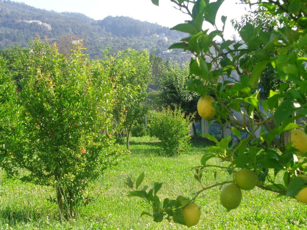 Bernardes House Konuk evi Castelo de Paiva Dış mekan fotoğraf