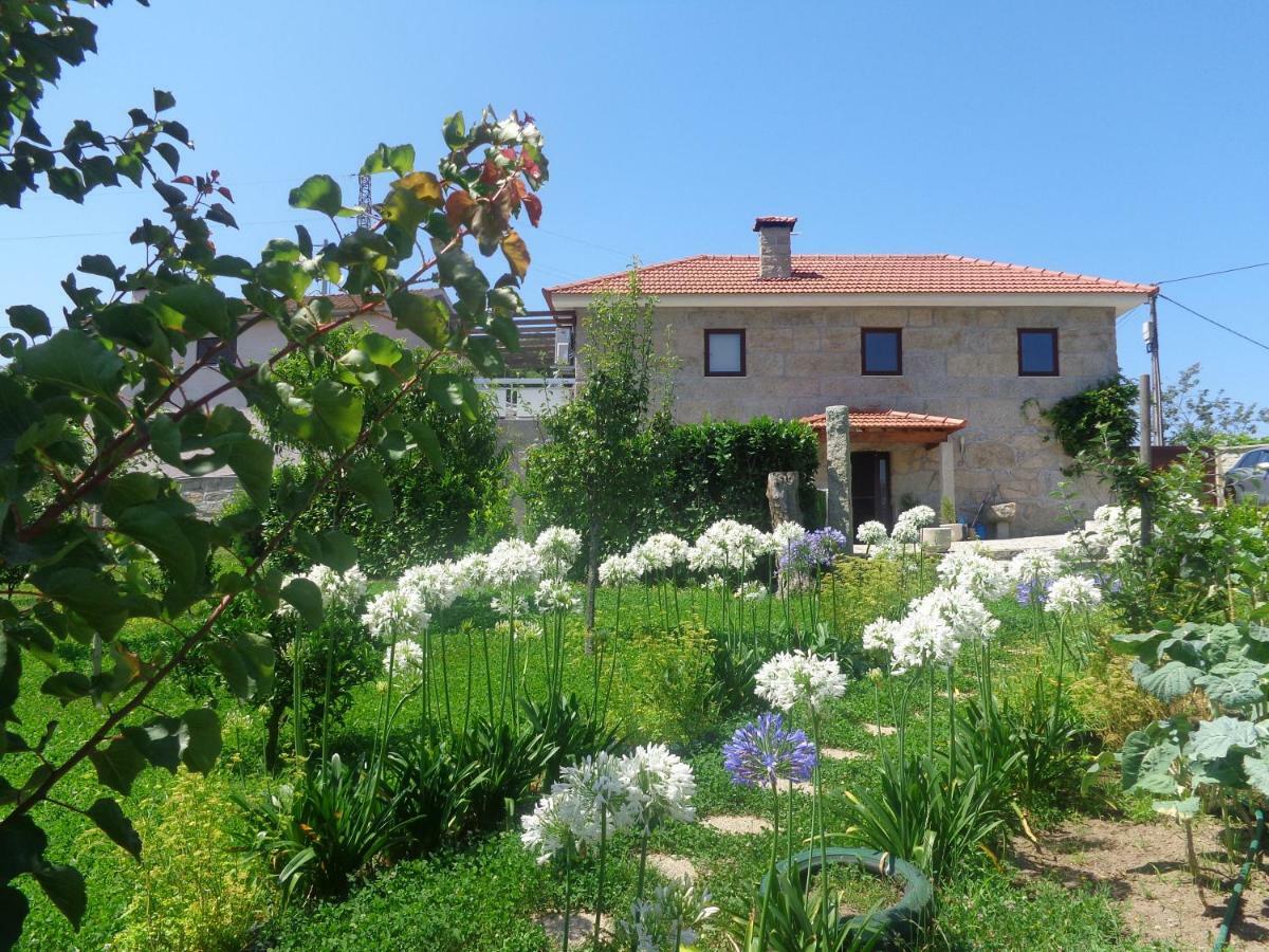 Bernardes House Konuk evi Castelo de Paiva Dış mekan fotoğraf